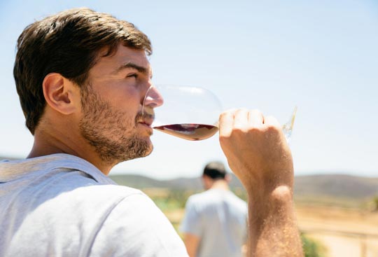Degustujemy wino! - Galeria