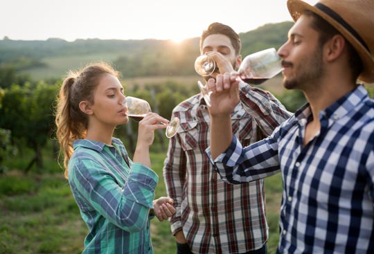 Degustujemy wino! - Galeria